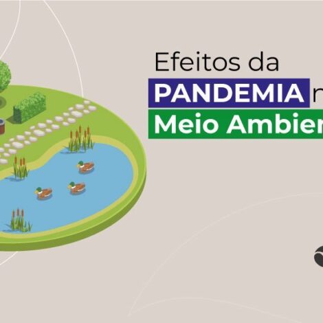 Efeitos da Pandemia no Meio Ambiente