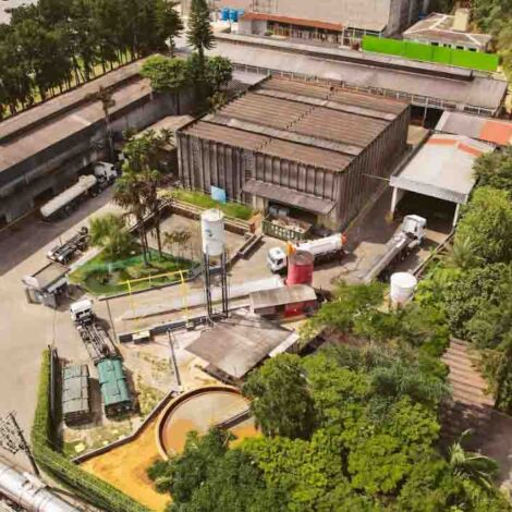 Tratamentos Onsite e Offsite — Entenda Como a Okena Ajuda seu Negócio